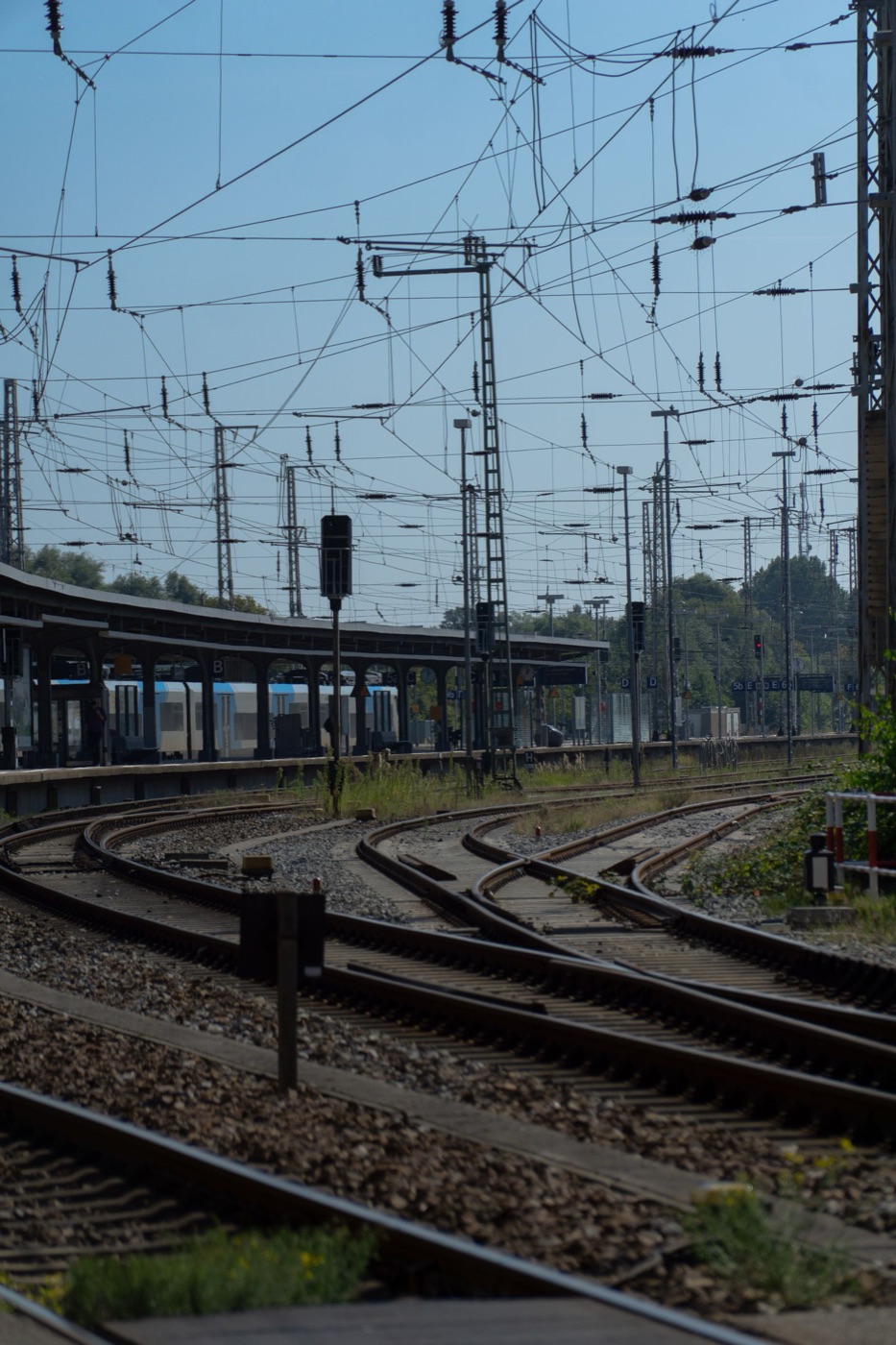 Rail, Transport